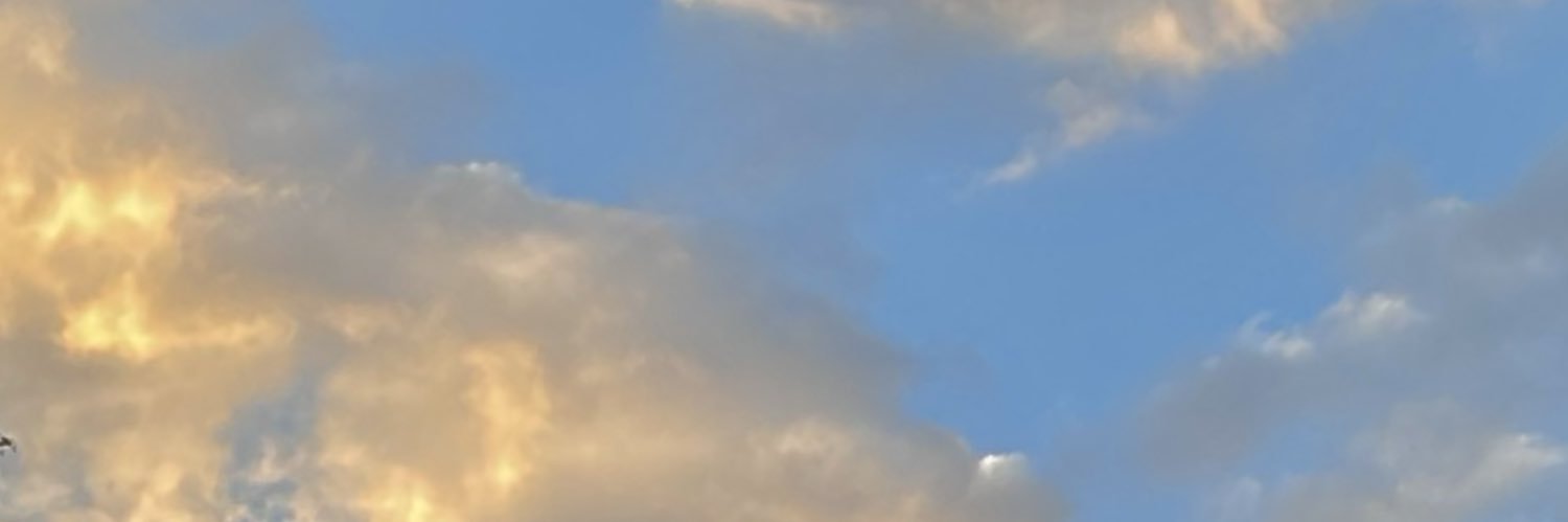 nico ✨ banner