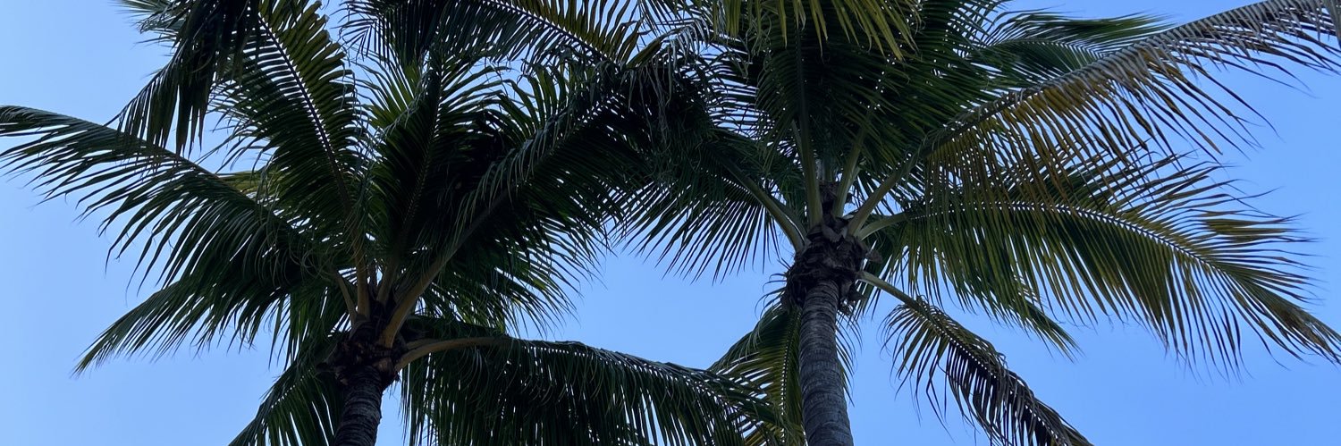 Brittany Chouhan banner