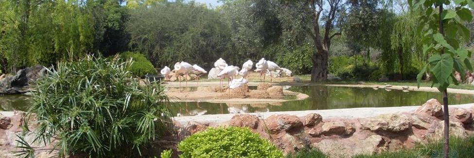 Anthi Harou 🐈 banner