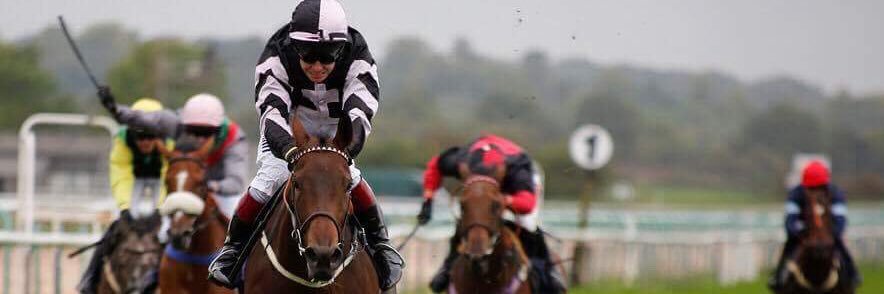 Steven Powell banner