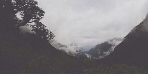 calumnes's profile banner image