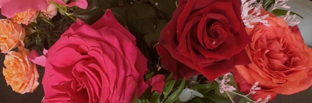 Amel_Plu's profile banner image