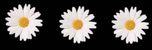Winorey's profile banner image