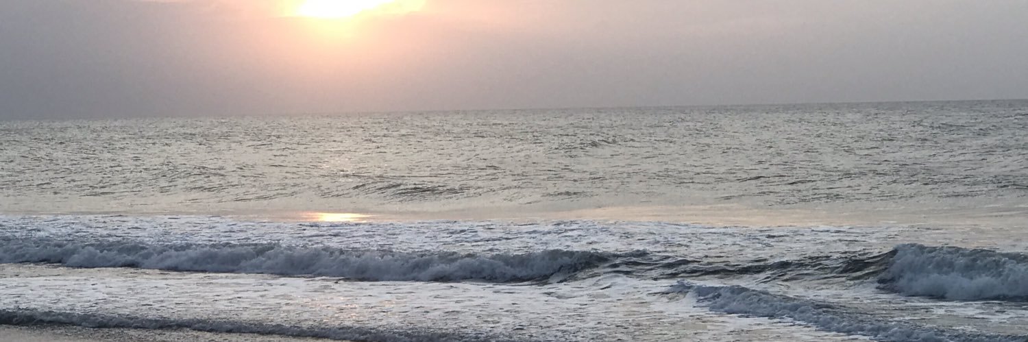 mindfullyso's profile banner image