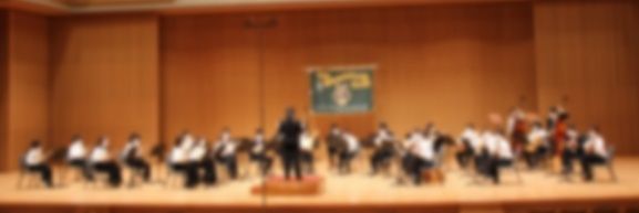 NodaiMandolin's profile banner image