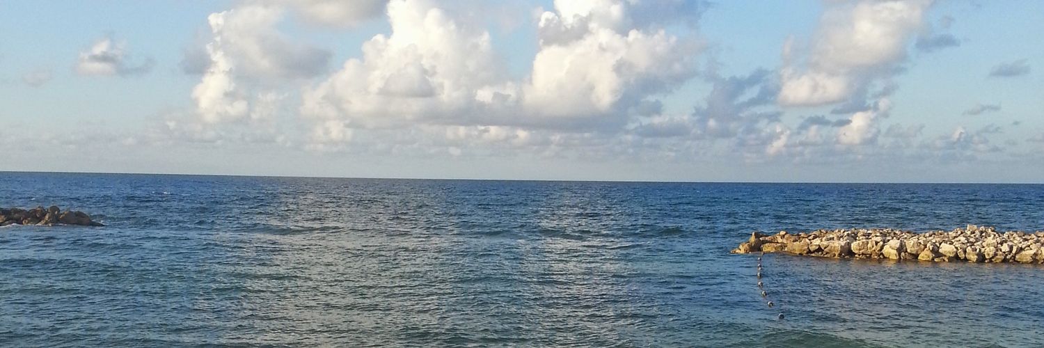 NaturallySalome's profile banner image