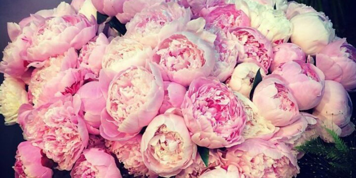 وريــف ..~ banner