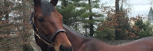 Eric Mitchell banner