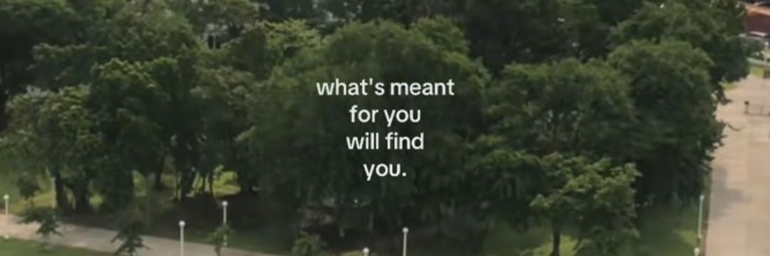 poyjablo's profile banner image