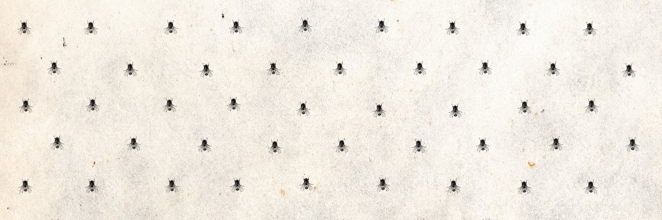 ppawroclaw's profile banner image