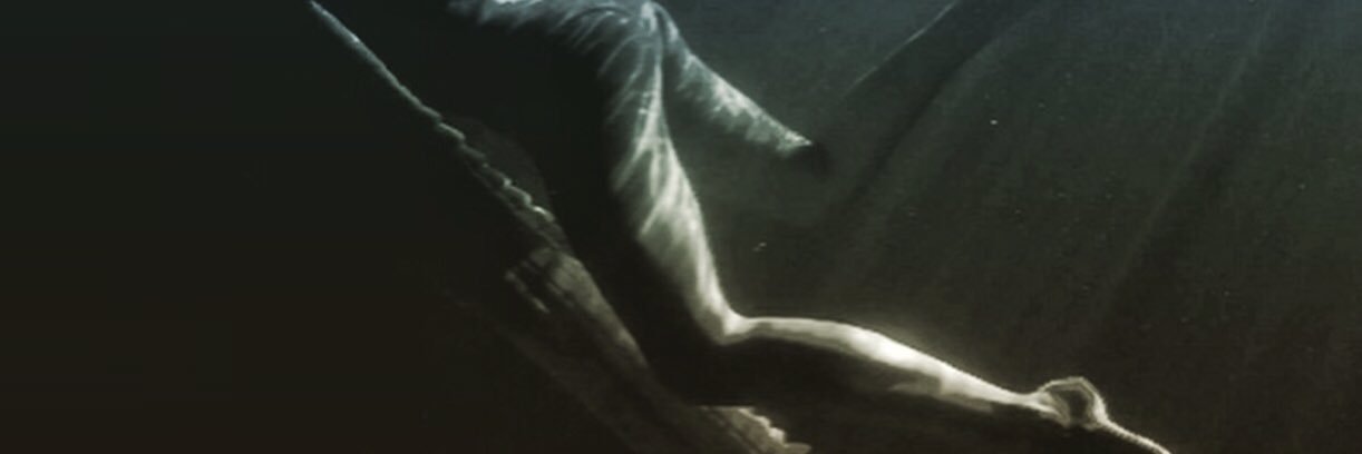 Yora_fierce's profile banner image