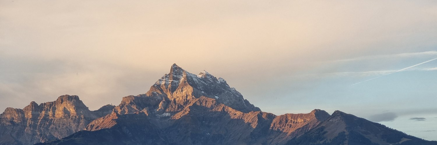 Sache banner