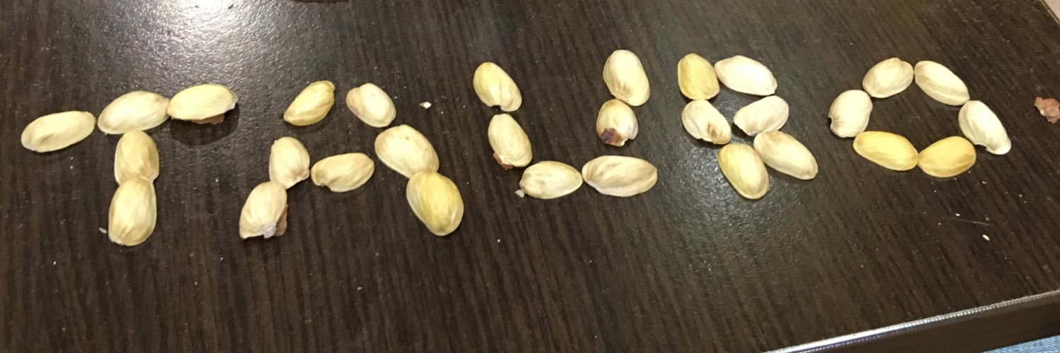 Camelissima's profile banner image