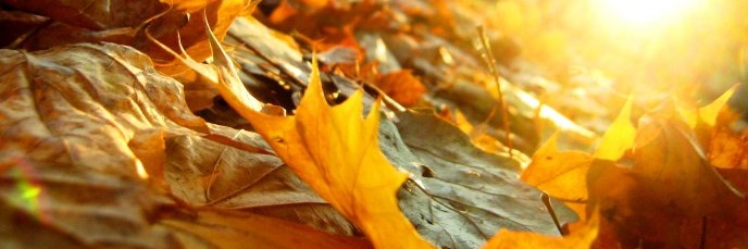 openairfit's profile banner image