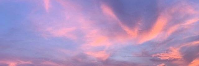 Roopa Panesar banner