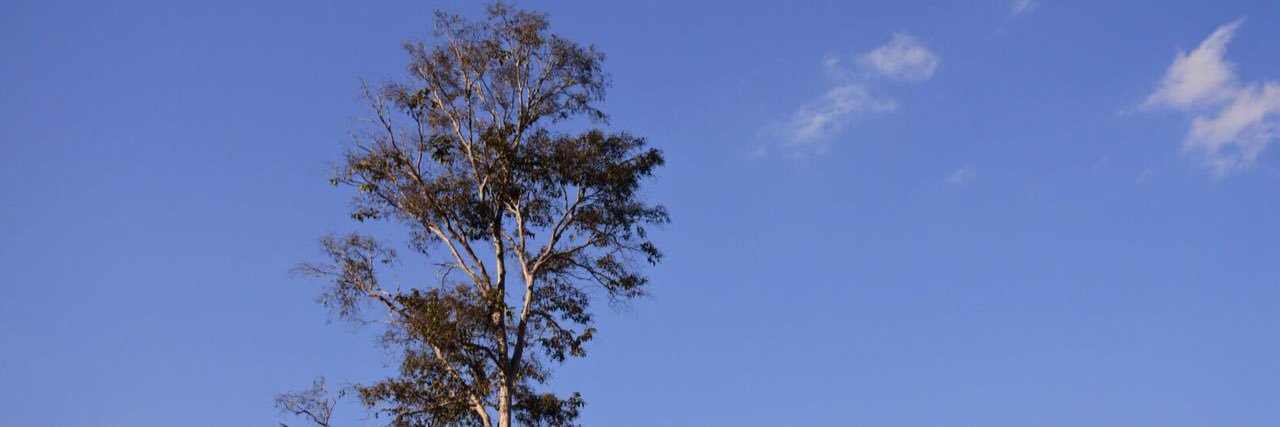 TrianiRatu's profile banner image