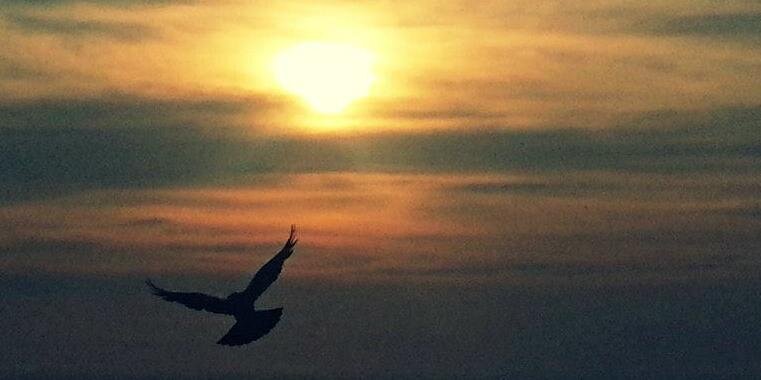 lifewithpratik's profile banner image