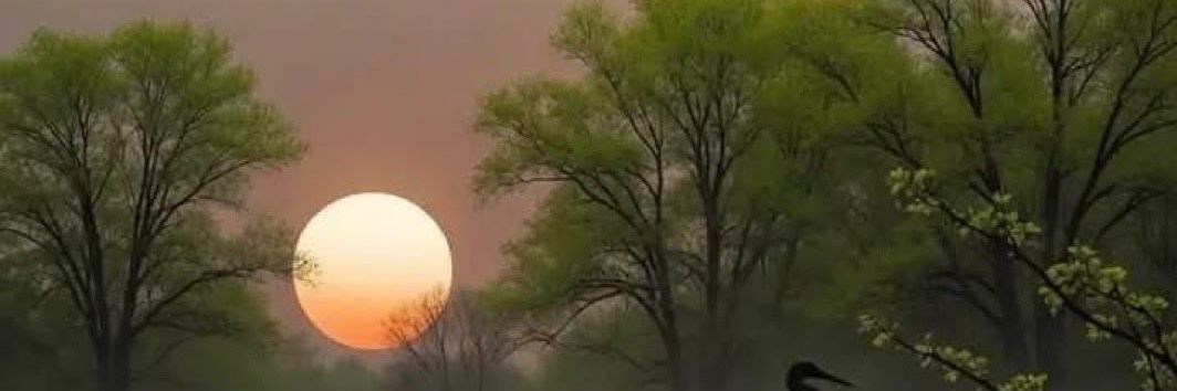 mona41935942's profile banner image