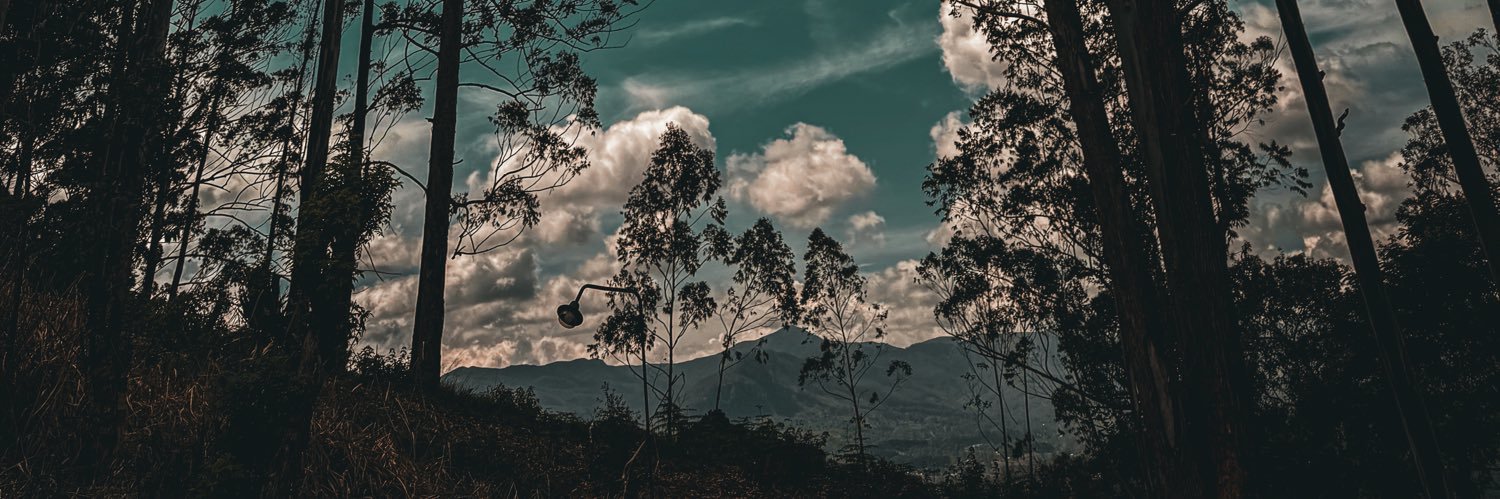 sanjayagperera's profile banner image