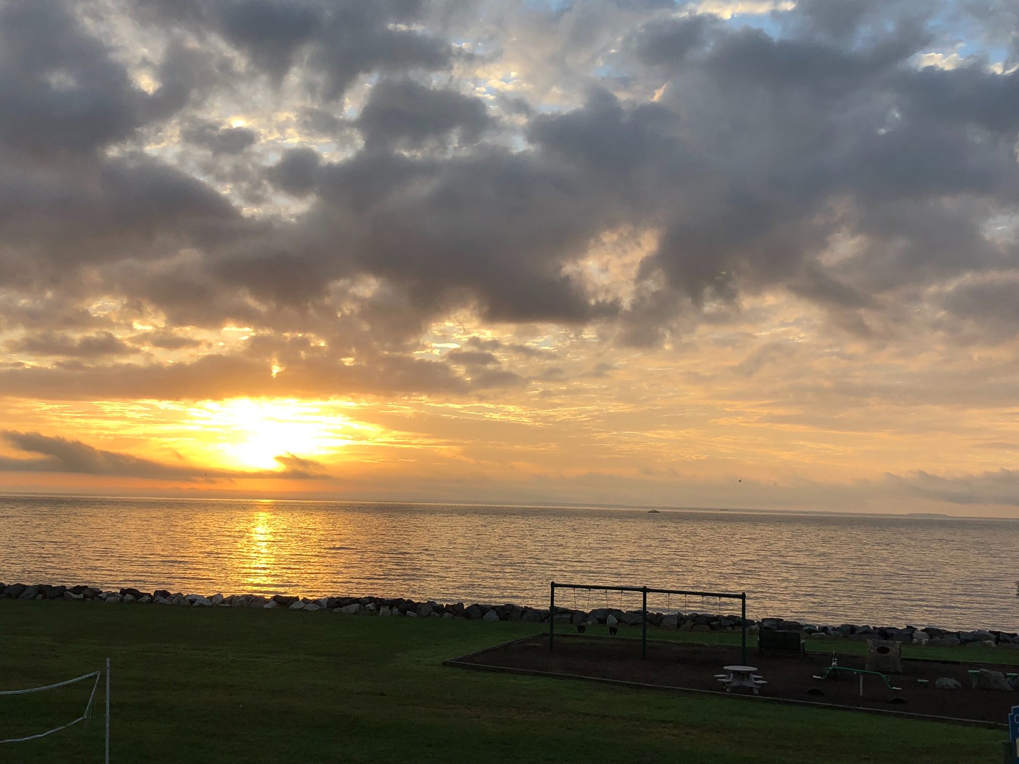 Jodi Quintero banner