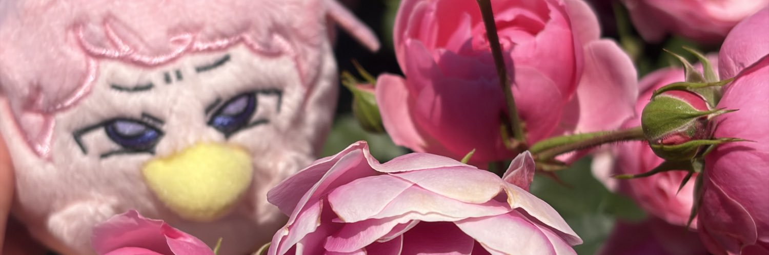 Mctty96's profile banner image