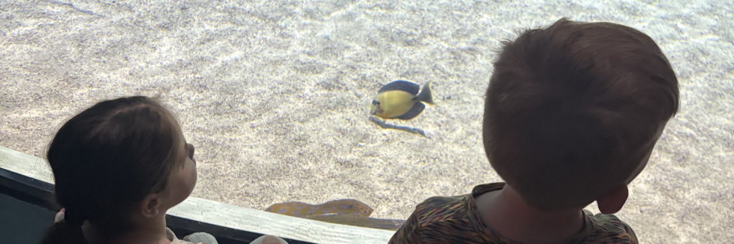 thomasbriggs23's profile banner image