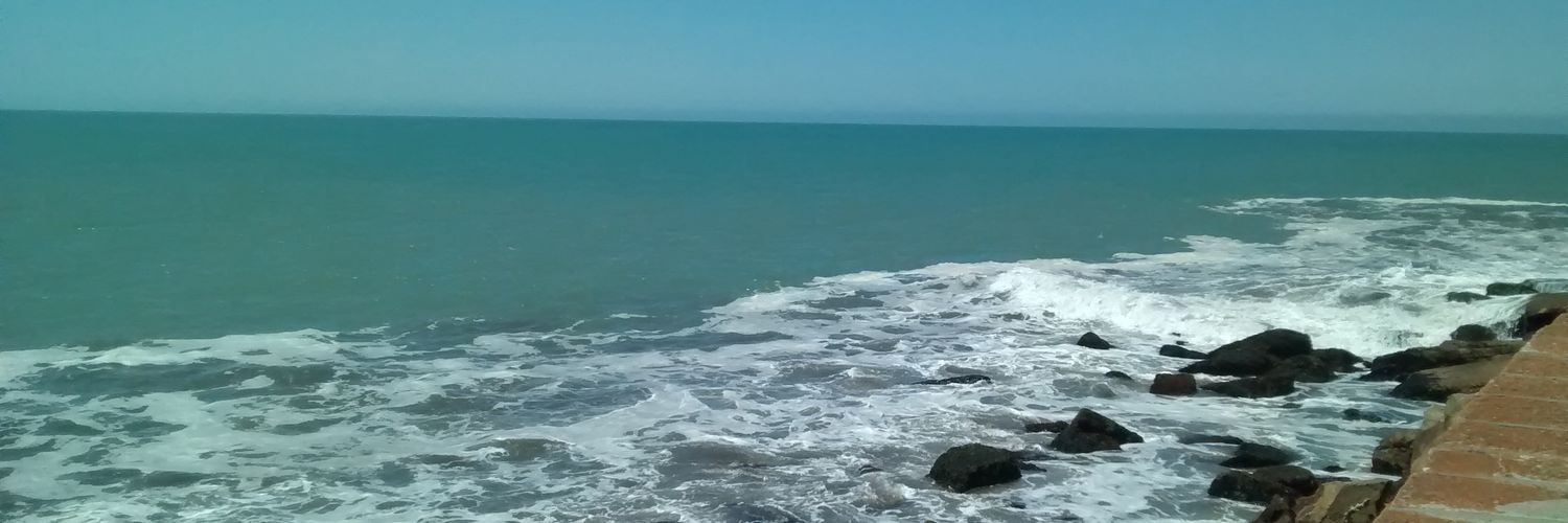LuCuratola's profile banner image
