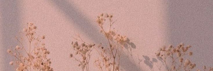 RaquelBonilla92's profile banner image