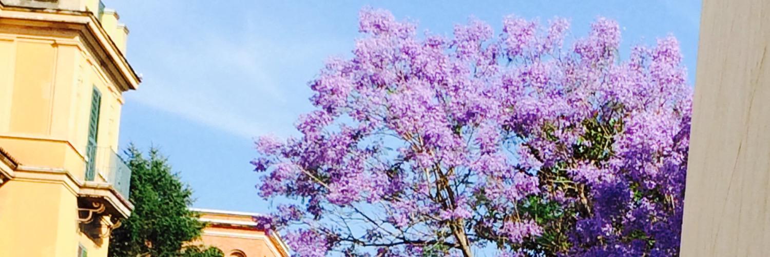mimimi221's profile banner image