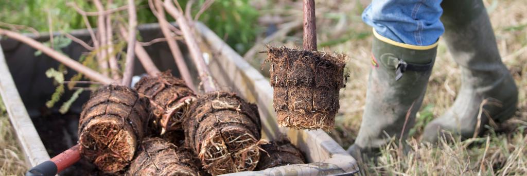 Restore The Earth banner