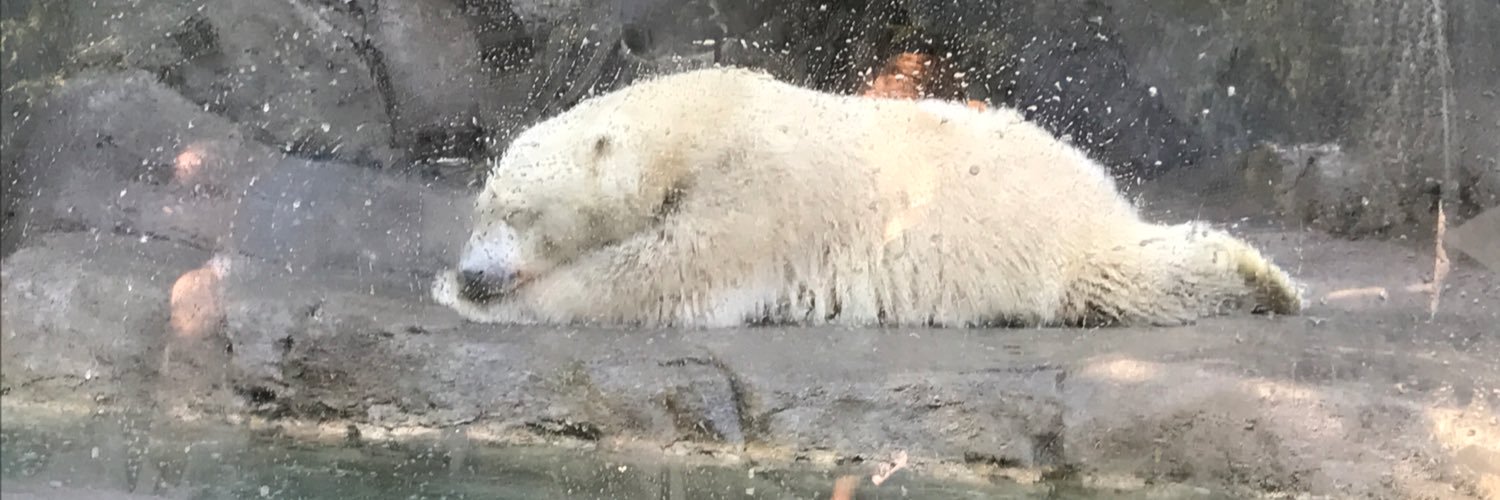 Carrie Murray (she/her) #BLM ✊🏿#🌈 banner