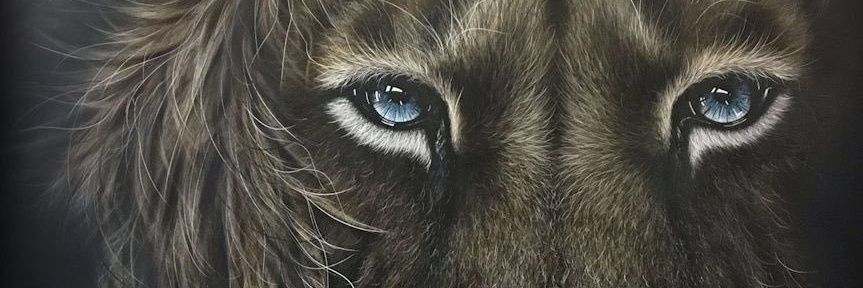 ShadyHadd's profile banner image