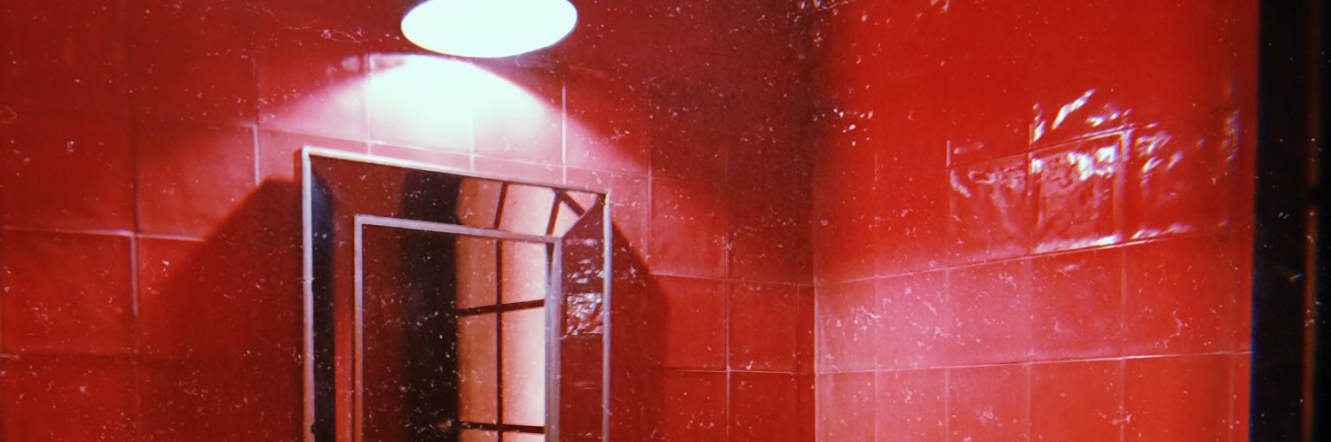 cistusalbidusL's profile banner image