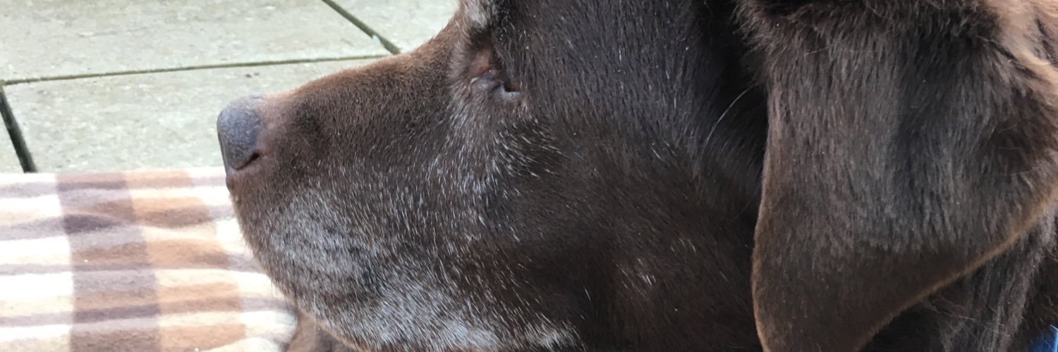 MattWhithouse's profile banner image