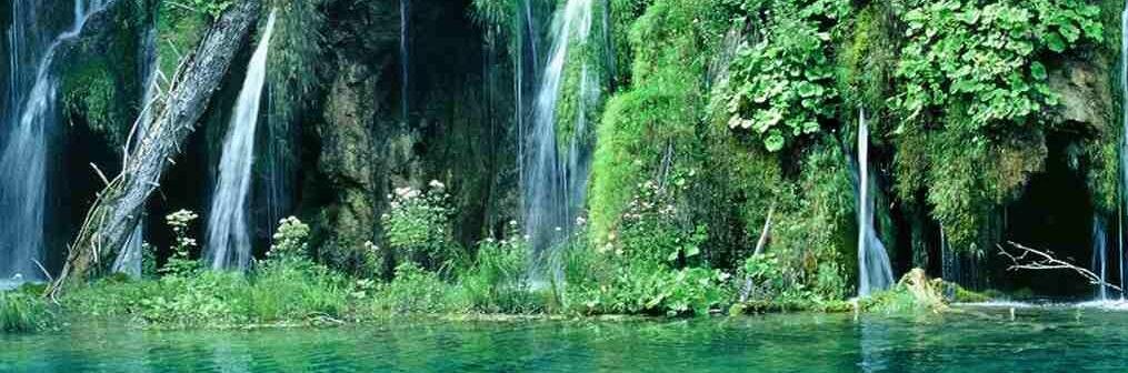 Steven Tyndall banner