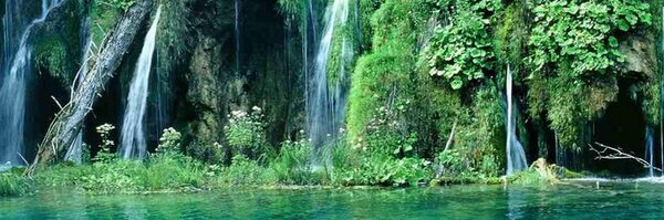 swtyndall Profile Banner