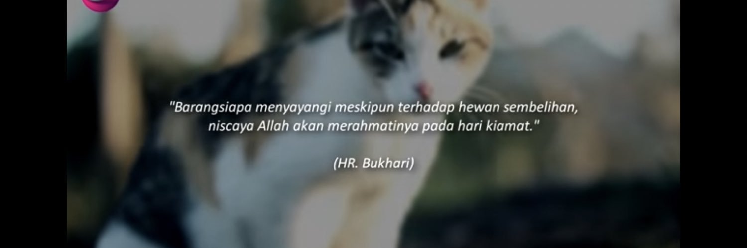 εʋiʂ ɳʋɽʋɭ ʋɭʄɑɧ ヅ banner