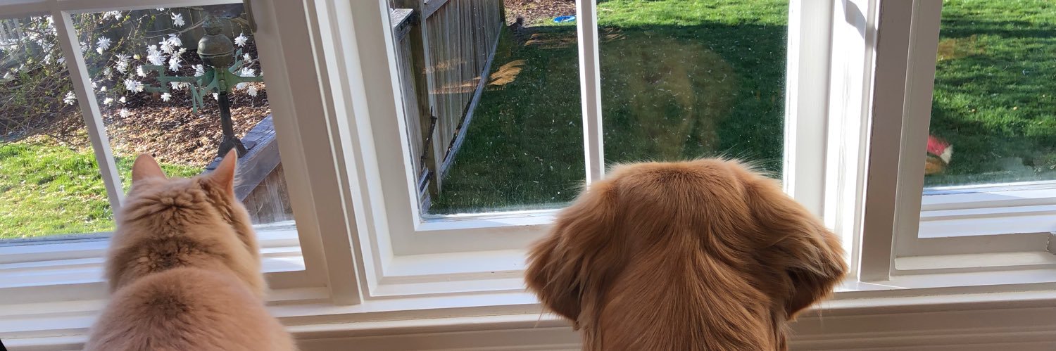 🥂🍾☀️🍷 ⛱ Back Porch Wino 😰🦊🐶🐝🐞 banner