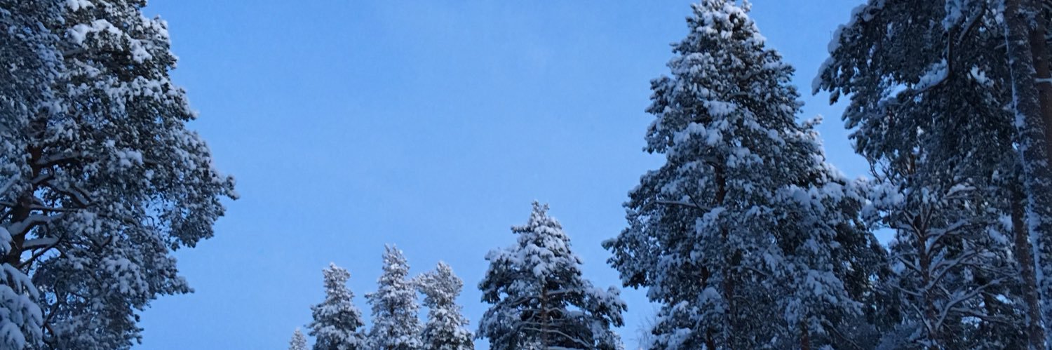 Linussvanholm's profile banner image