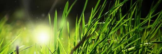 RedEsperanca's profile banner image