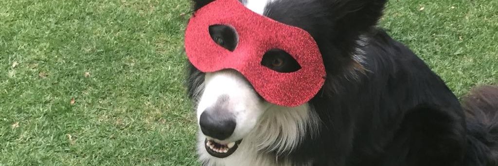 Darioskywalker2's profile banner image