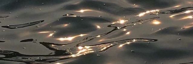 sheemALJ's profile banner image