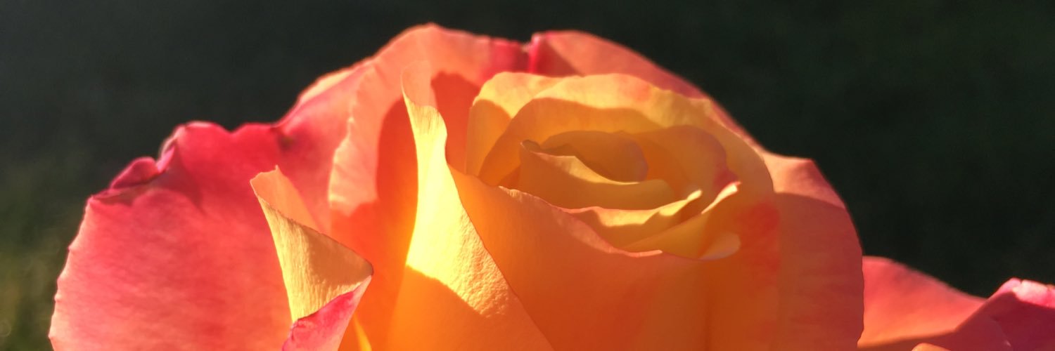 maryraem's profile banner image