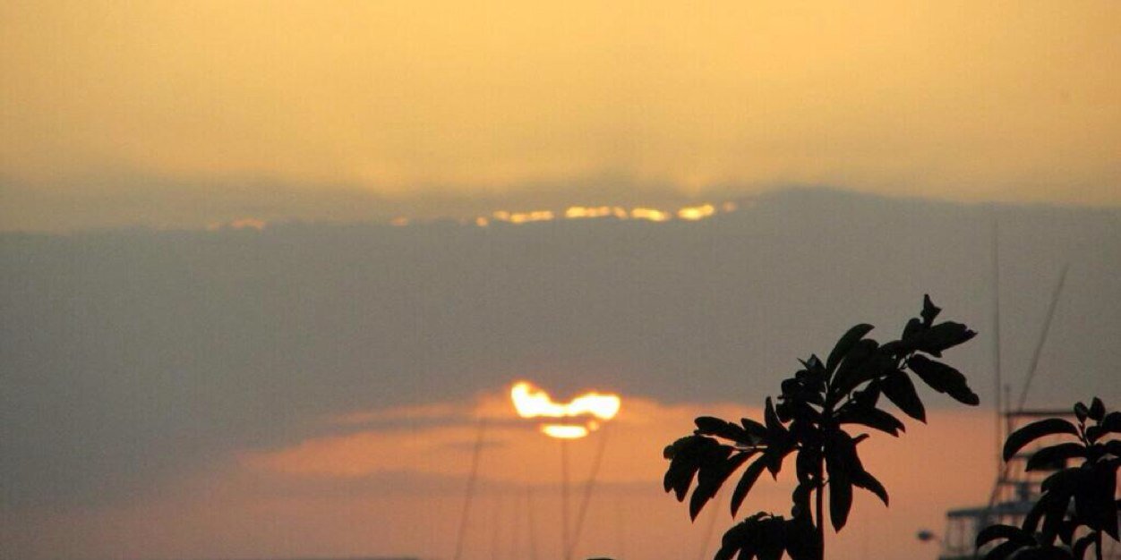 Eduardo Chavez banner