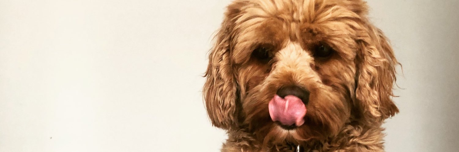 CharlotteApril3's profile banner image