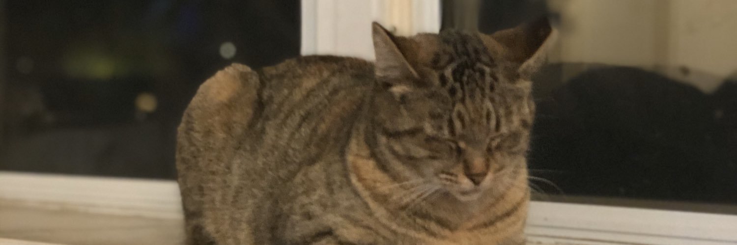 embeamish's profile banner image