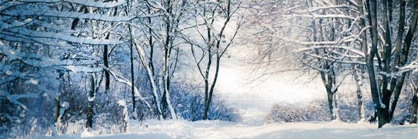 MajPterolycus Profile Banner