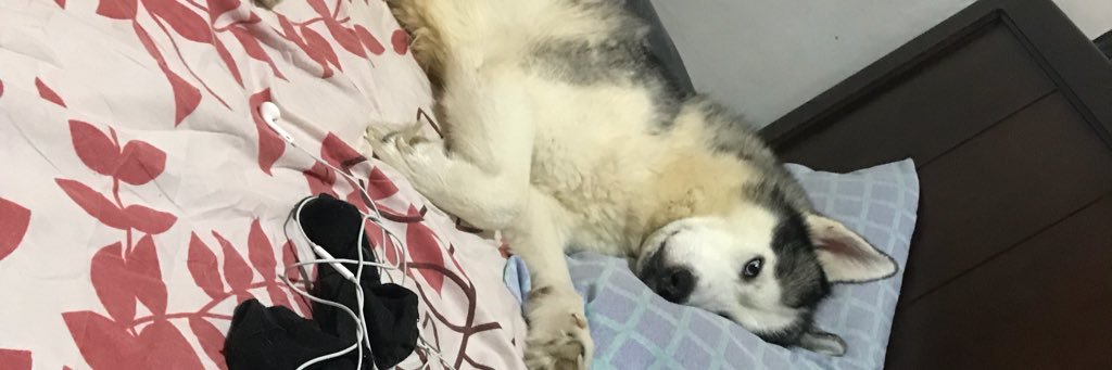 WKBZ_Arj's profile banner image