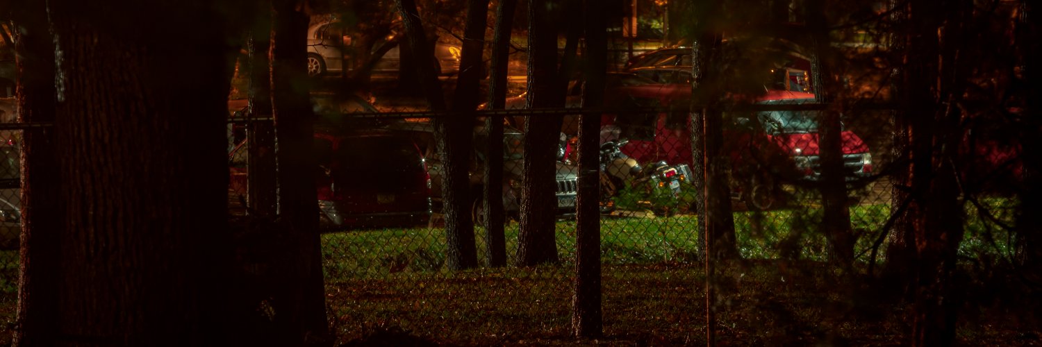 ChrlesBruwicz banner