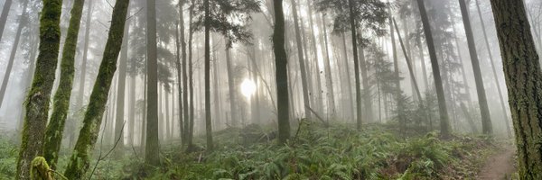 AmyAHarder Profile Banner